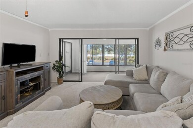 Living room with a view !