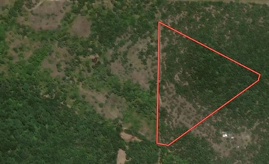 000 County Road 36, Gainesville, MO 65655 - photo 2