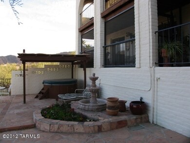 Back Yard (3)