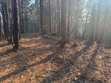 0 Stella Lockard Rd, Cordova, AL 35550 - photo 4