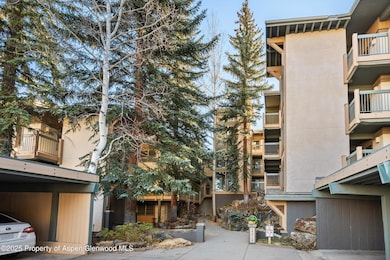 855 Carriage Way unit Slope 303, Snowmass Village, CO 81615 - photo 2