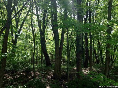 TBD Lucas Ave, Accord, NY 12404 - photo 4