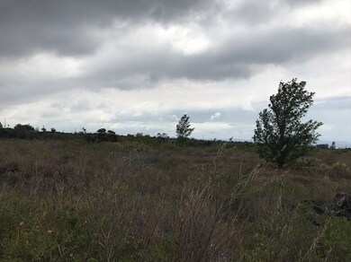 Southwest view of the lot.