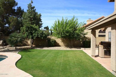 Grass Area