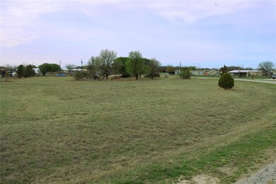 8317 Alston Ct, Joshua, TX 76058 - photo 4