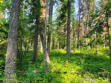 Nhn Mt Hwy 83, Swan Lake, MT 59911 - photo 6