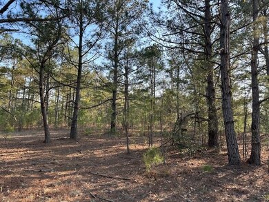 TBD Lot 1 McNabb Short Cut Rd, Loris, SC 29569 - photo 2