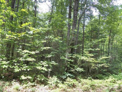 190 Bee Hole Rd, Loudon, NH 03307 - photo 3