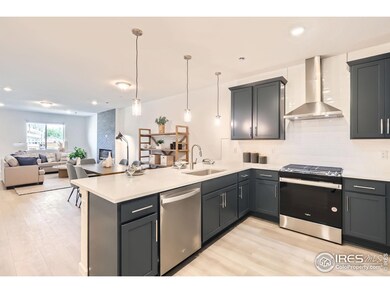 2858 Bear Springs Cir, Longmont, CO 80503 - photo 2