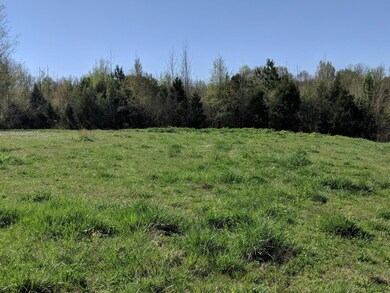 2420 Hawkersmith Rd, Manchester, TN 37355 - photo 5