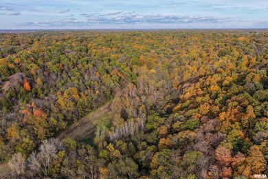 00 Eldred Rd, Richwood Township, IL 62031 - photo 3