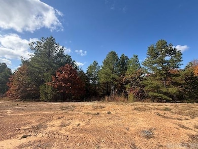 50 Summer Sky Dr, Greenbrier, AR 72058 - photo 2