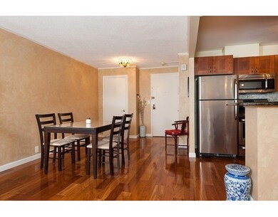 Imperial Towers unit 707, Chestnut Hill, MA 02467 - photo 5