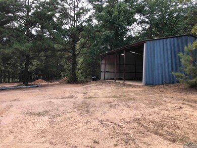 TBD Cr 233, Arp, TX 75750 - photo 7