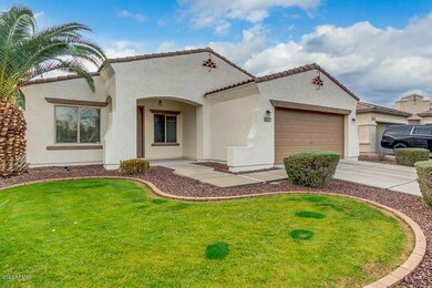Low Maintenance Front Yard