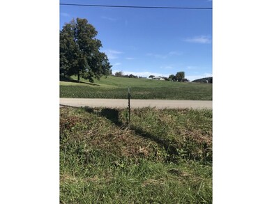 Looking at Road from land