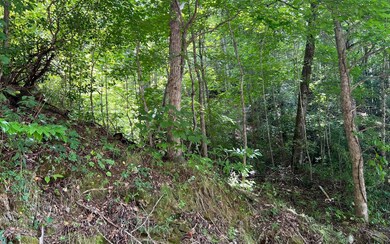 Additional View