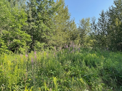 M8L4 Mountain Rd, Mount Chase, ME 04765 - photo 6