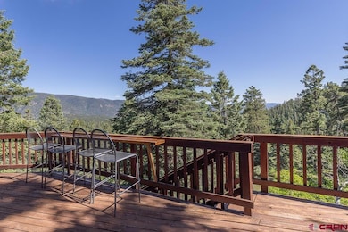 809 Columbine Rd, Durango, CO 81301 - photo 6