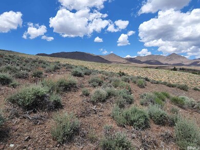 29 Stope Rd, Dayton, NV 89403 - photo 6