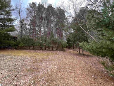 VL Briar Ln unit 4, Forest Home Township, MI 49615 - photo 5