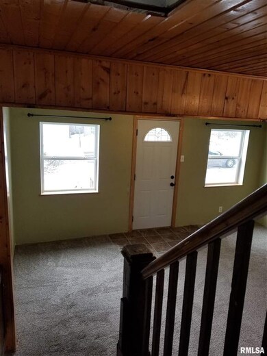 4507 16th Ave, Rock Island, IL 61201 - photo 5