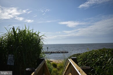 8 Upshur Ave, Annapolis, MD 21403 - photo 4