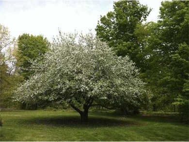 233 Wattaquadock Hill Rd, Bolton, MA 01740 - photo 2