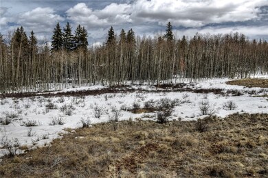 151 Mustang Ct, Como, CO 80432 - photo 2