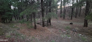 155 E Ski Run Rd, Williams, AZ 86046 - photo 6