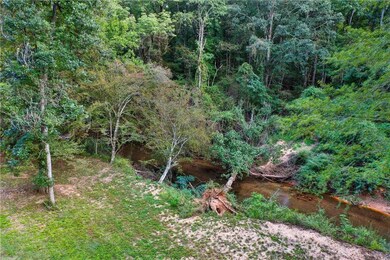 598 Elliott Rd, McDonough, GA 30252 - photo 6