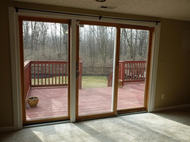 View of Backyard