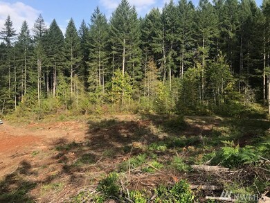 0 SW Spruce Rd unit 1524651, Port Orchard, WA 98367 - photo 3