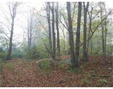 81 Lyons Rd, Dudley, MA 01571 - photo 3