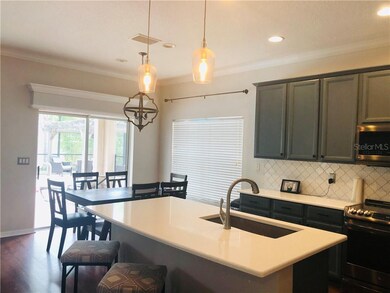 9950 Jasmine Brook Cir, Land O Lakes, FL 34638 - photo 5