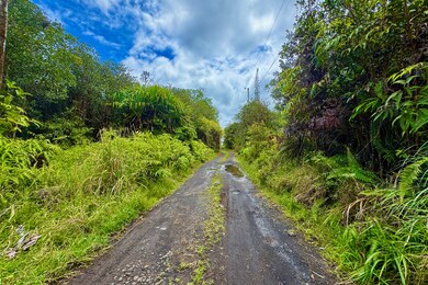 16-1495 Io Kea Rd, Mountain View, HI 96760 - photo 6