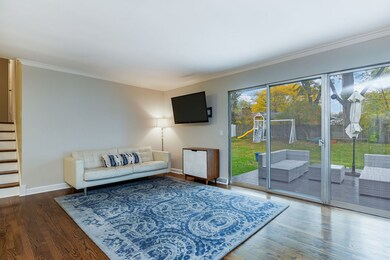 313 Osage Ln, Naperville, IL 60540 - photo 7