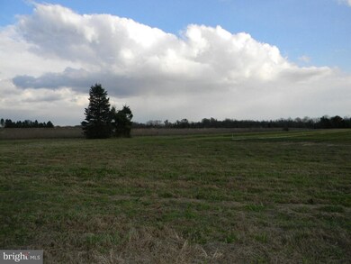 391 Main Rd, Vineland, NJ 08360 - photo 5