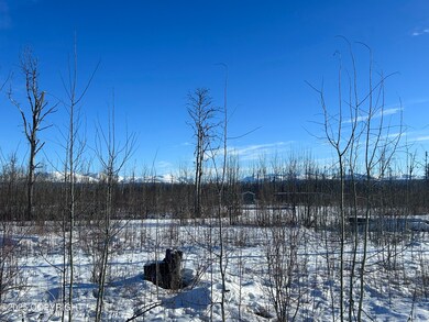 15408 Wild Bill Way, Susitna North, AK 99688 - photo 4