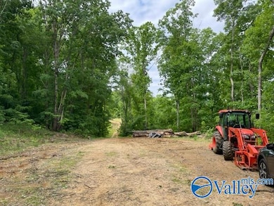 646 Keel Mountain Rd, Gurley, AL 35748 - photo 6