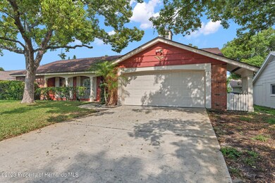 36-web-or-mls-DSC02316