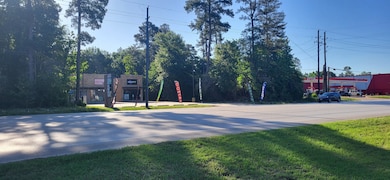 818 Honea Egypt Rd, Magnolia, TX 77354 - photo 3