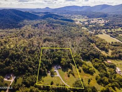 440 Lewis Ln, Blaine, TN 37709 - photo 4