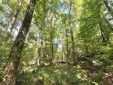 0 Chapel Hill Rd, Grenada, MS 38901 - photo 6