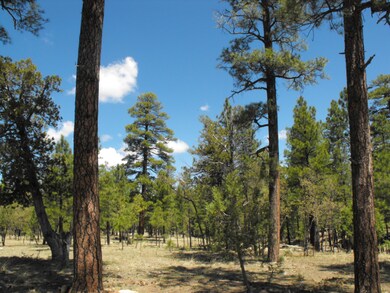 113 Bald Eagle 6b