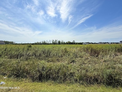 1 Lloyd Corey Rd, Robersonville, NC 27871 - photo 3