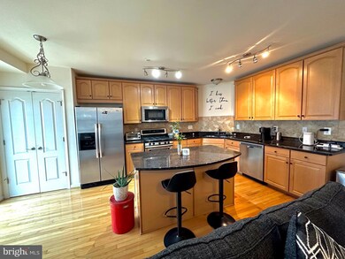 22910 Newcut Rd unit 3152, Clarksburg, MD 20871 - photo 2