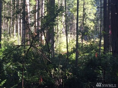 0 Crawford Rd unit 1034487, Langley, WA 98260 - photo 5