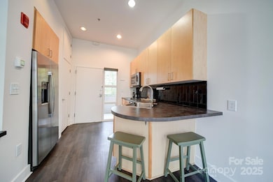 514 W 10th St unit 304, Charlotte, NC 28202 - photo 5