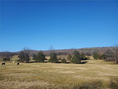 20 acres Downing Rd, Fayetteville, AR 72701 - photo 6